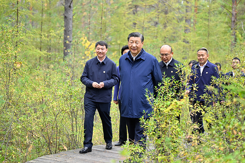 9月6日至8日，中共中央总书记、国度主席、中央军委主席习近平在黑龙江调查。这是6日下午，习近平在大兴安岭地域漠河市漠河林场天然林区调查